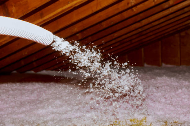 Best Residential Insulation in Vinton, TX